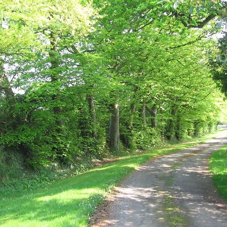 Ballinclea House Bed And Breakfast Brittas Bay Esterno foto