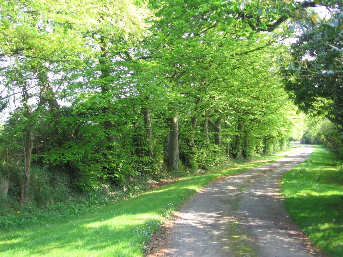 Ballinclea House Bed And Breakfast Brittas Bay Esterno foto